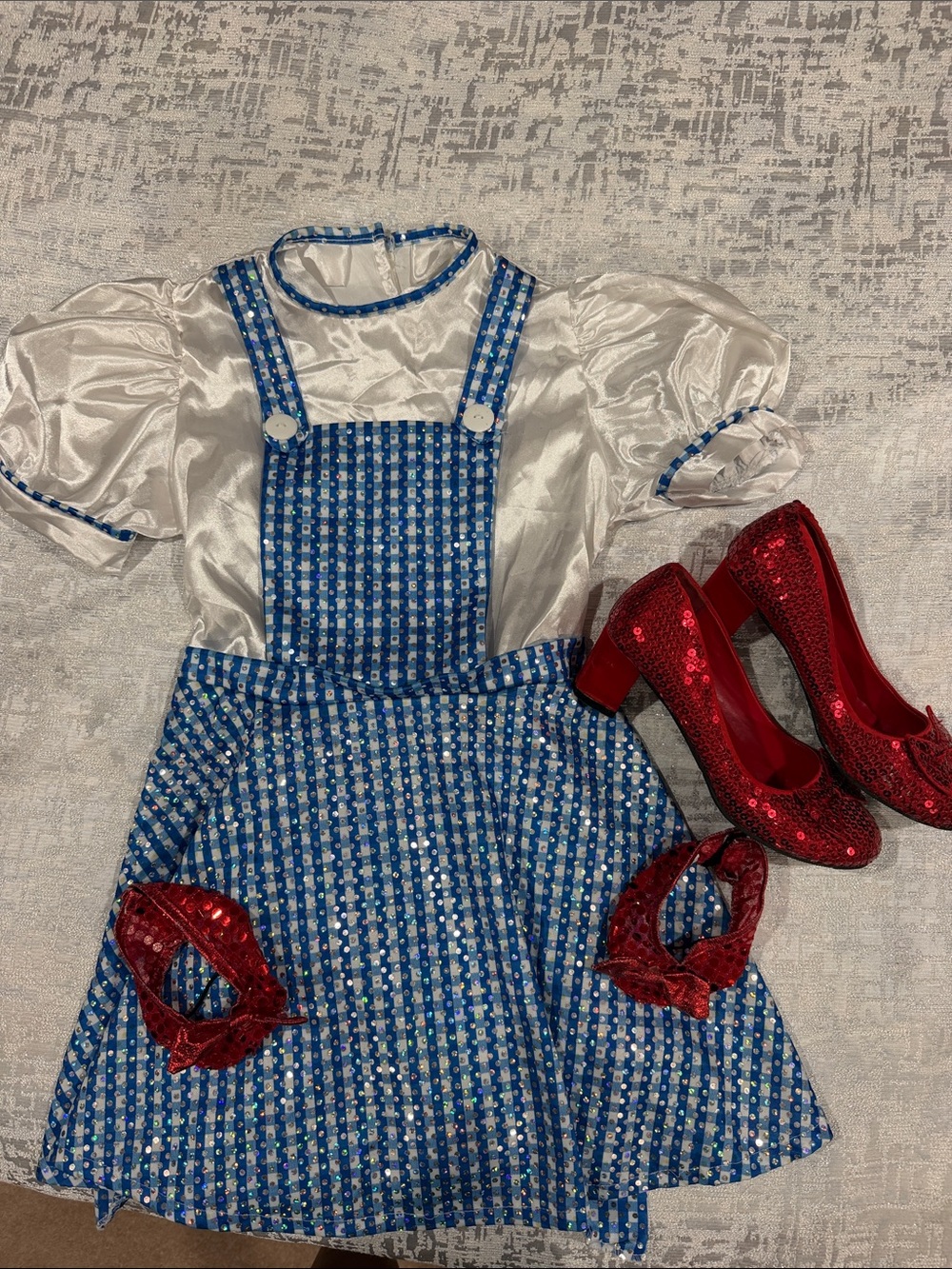 Wizard of Oz Dorothy Costume